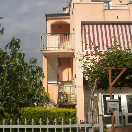 Miani