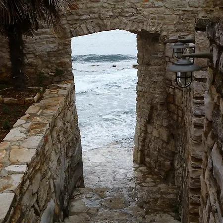 Miani Novigrad Istria