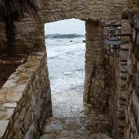 Miani Novigrad (Istria)