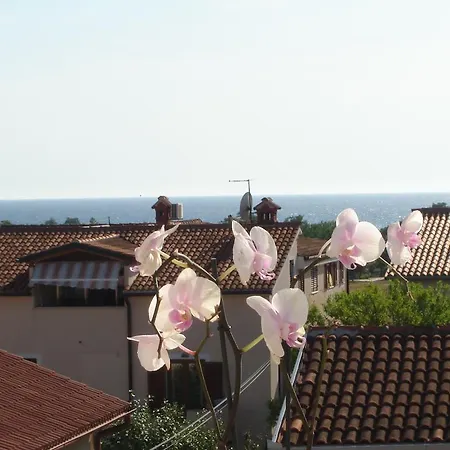 Apartment Miani