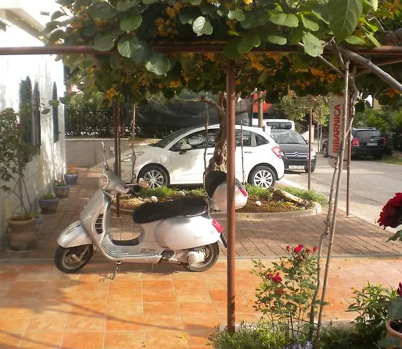 Miani