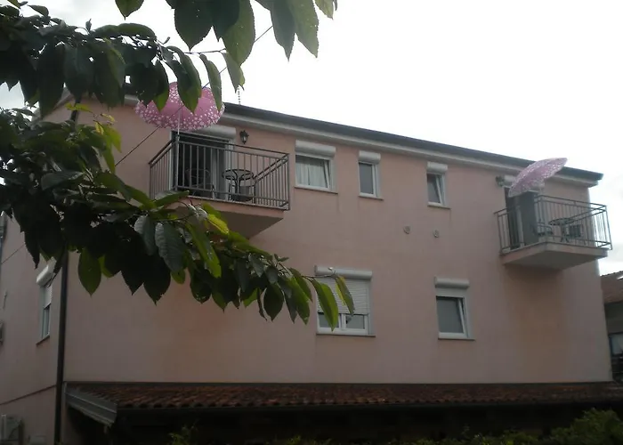 Miani Novigrad Istria