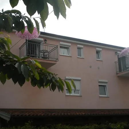 Miani Novigrad Istria